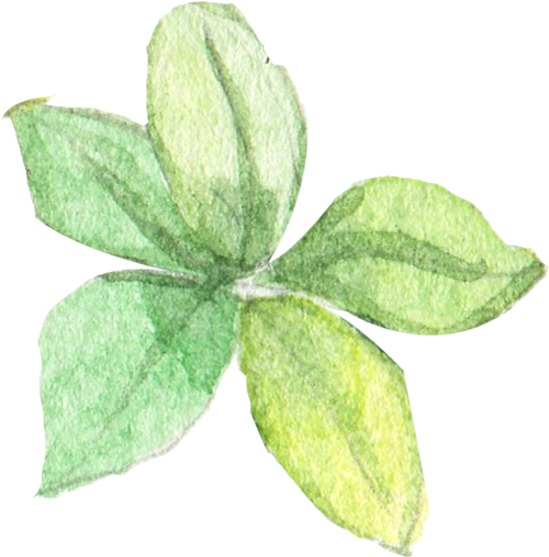 Promise%20Point%20General%20Trading%20Nigerial%20Ltd