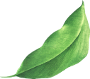 Promise Point General Trading Nigerial Ltd