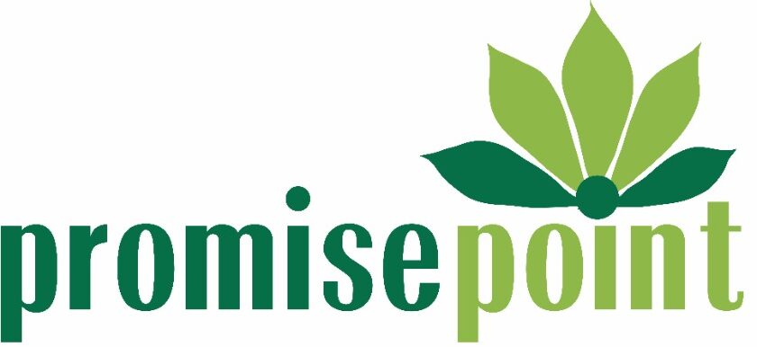 Promise Point General Trading Nigerial Ltd